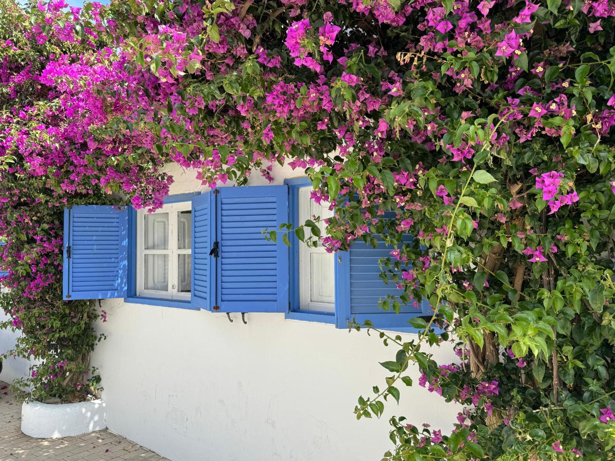 Apartamento Casa Mellis Aguamarga Agua Amarga  Exterior foto